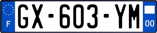 GX-603-YM