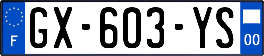 GX-603-YS