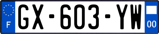 GX-603-YW