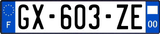 GX-603-ZE