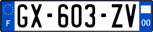 GX-603-ZV