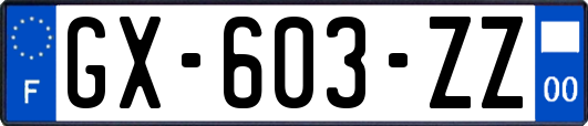 GX-603-ZZ