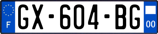 GX-604-BG