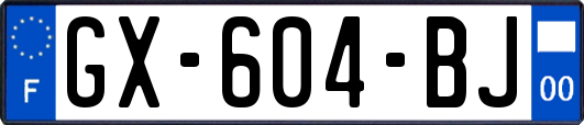 GX-604-BJ