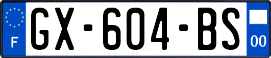 GX-604-BS