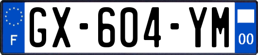 GX-604-YM