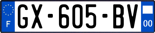 GX-605-BV