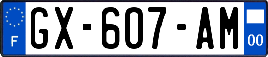 GX-607-AM