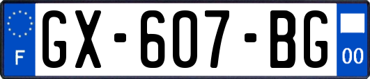 GX-607-BG