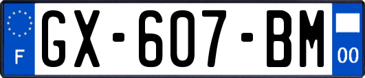 GX-607-BM