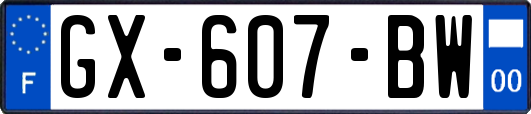 GX-607-BW