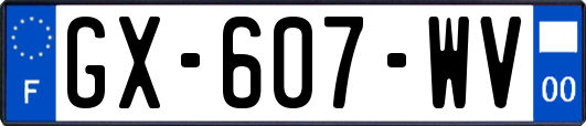 GX-607-WV