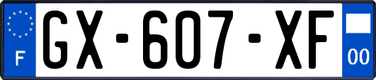 GX-607-XF
