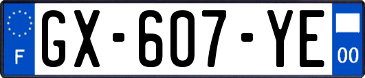GX-607-YE