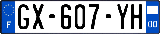 GX-607-YH