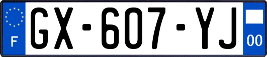 GX-607-YJ