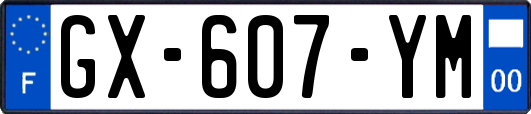 GX-607-YM