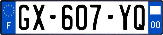 GX-607-YQ