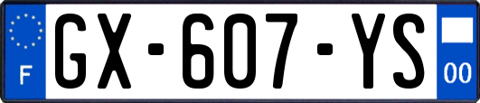 GX-607-YS
