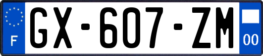 GX-607-ZM