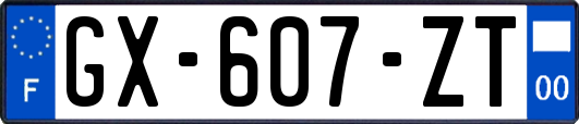 GX-607-ZT