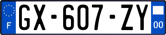 GX-607-ZY