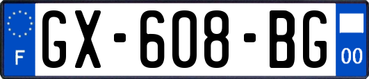 GX-608-BG