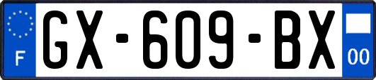 GX-609-BX