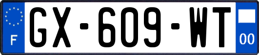 GX-609-WT