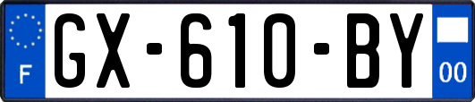 GX-610-BY