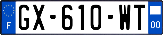 GX-610-WT