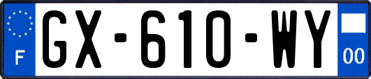 GX-610-WY