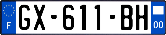 GX-611-BH