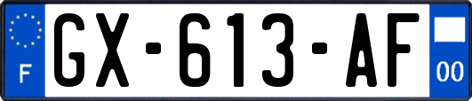 GX-613-AF