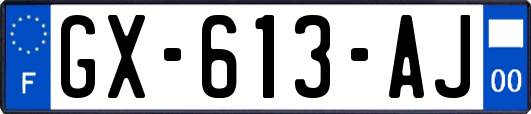 GX-613-AJ