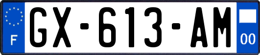 GX-613-AM