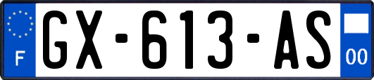 GX-613-AS
