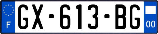 GX-613-BG