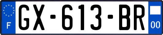 GX-613-BR