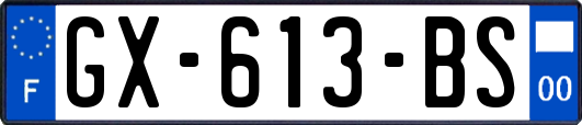 GX-613-BS