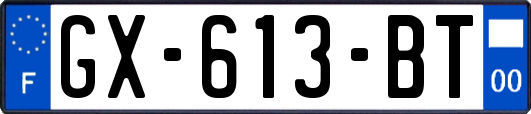 GX-613-BT