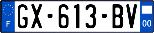 GX-613-BV