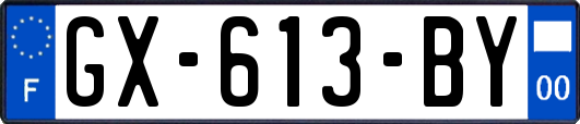 GX-613-BY