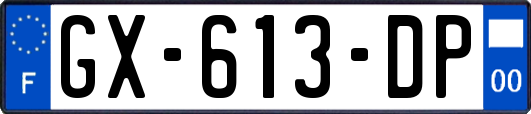 GX-613-DP