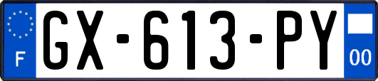 GX-613-PY