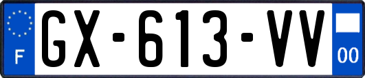 GX-613-VV