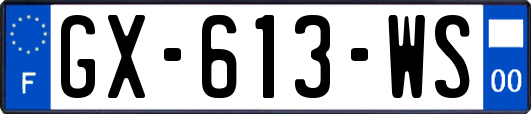 GX-613-WS