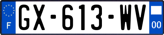 GX-613-WV