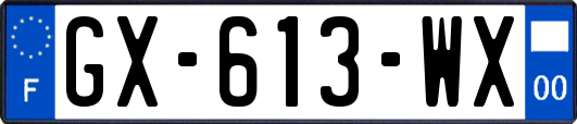 GX-613-WX