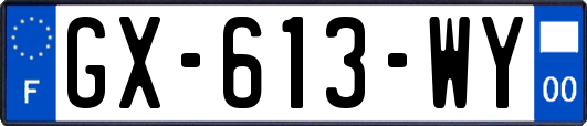 GX-613-WY
